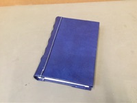CAI Sale Item