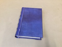 CAI Sale Item