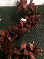 CAI Sale Item
