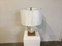 CAI Sale Item