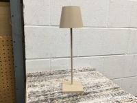 CAI Sale Item